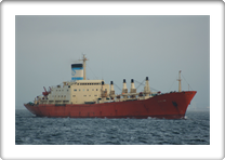 BALTIC WIND      7342988 